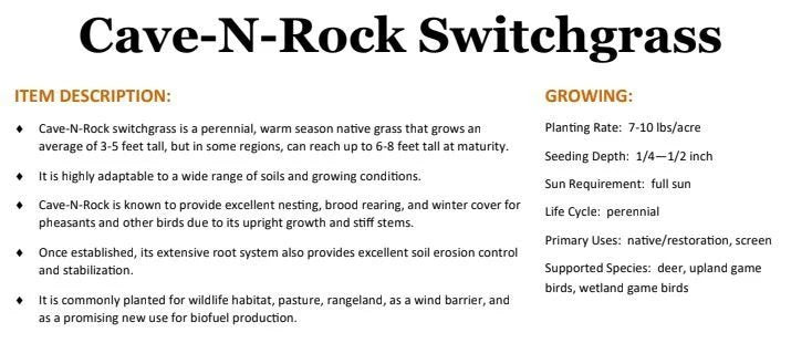 Cave-N-Rock Switchgrass