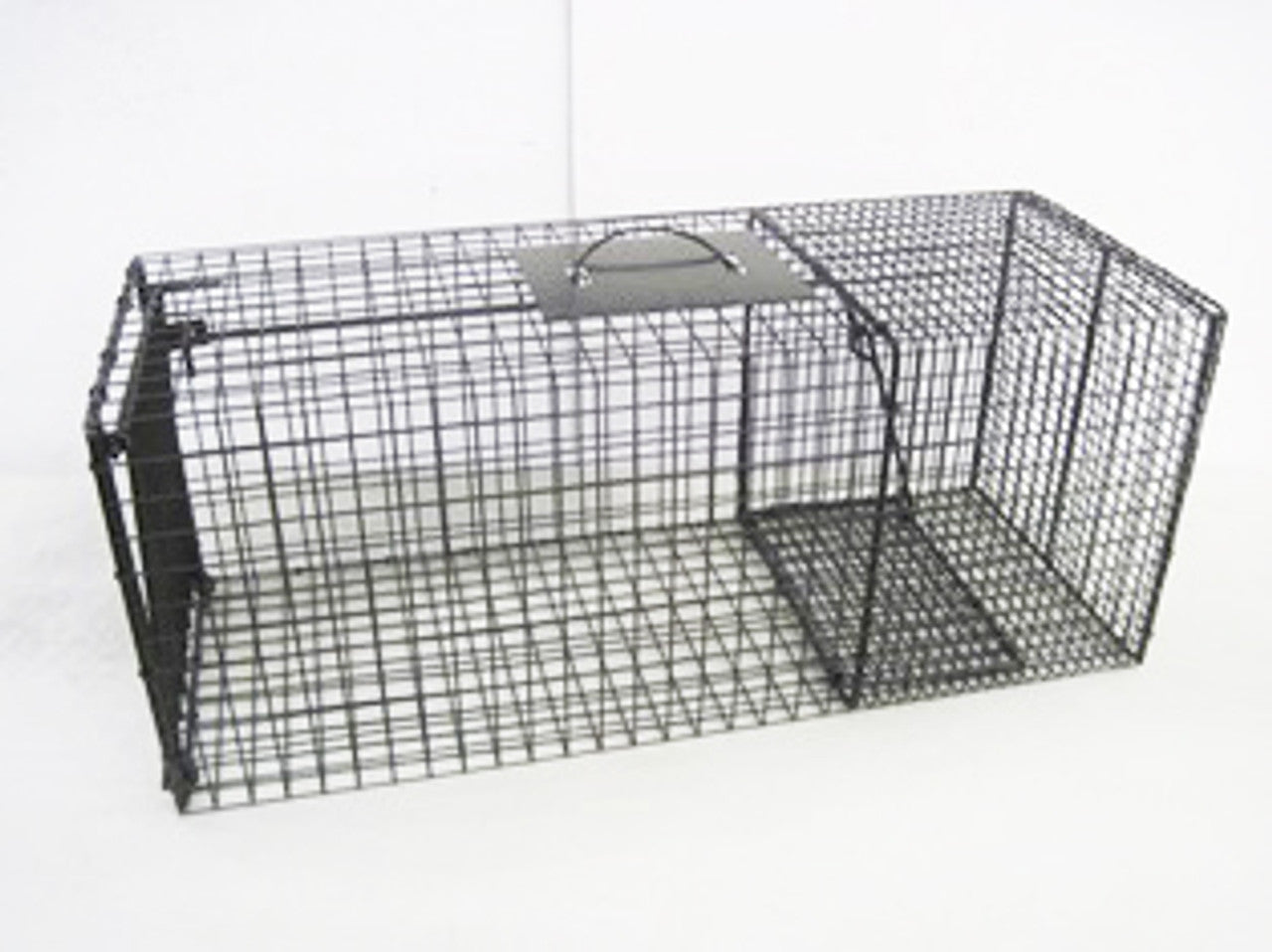 Bobcat Cage Trap