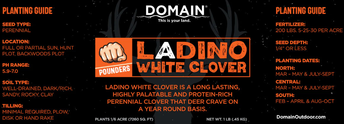 Domain Pounder - Ladino Clover