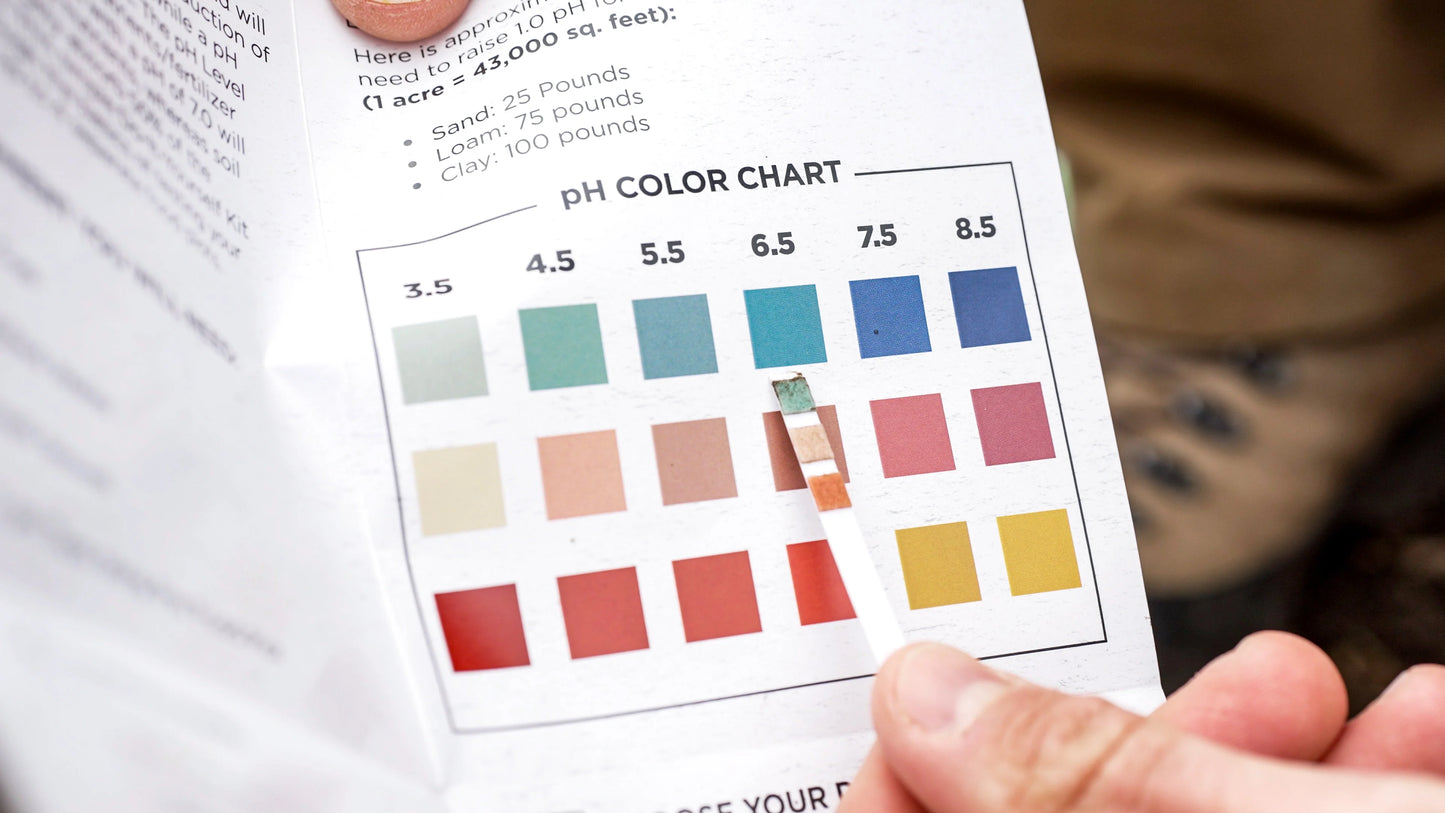 DIY Instant PH Test Kit