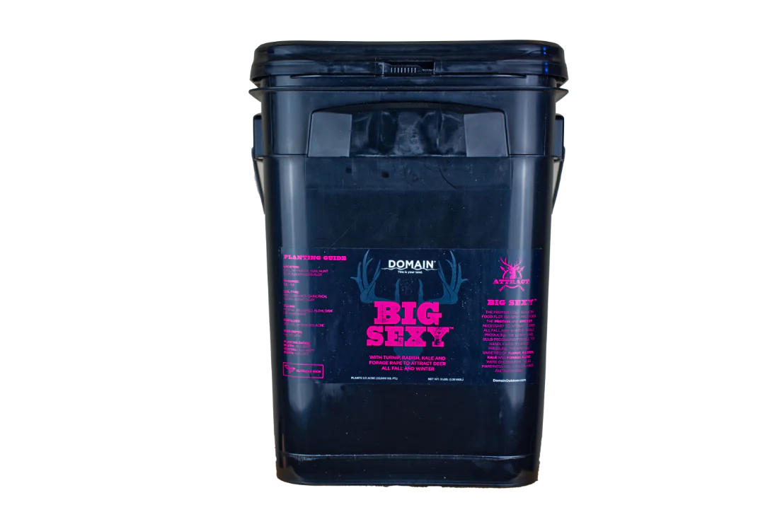 Big Sexy™