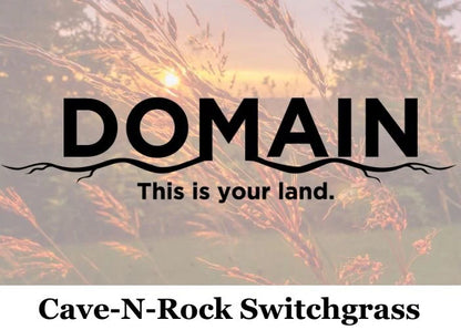 Cave-N-Rock Switchgrass