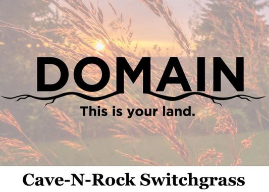 Cave-N-Rock Switchgrass