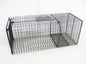 Bobcat Cage Trap