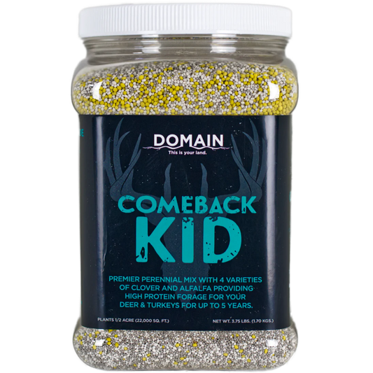 Comeback Kid™